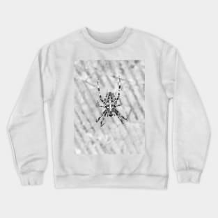 Spider Crewneck Sweatshirt